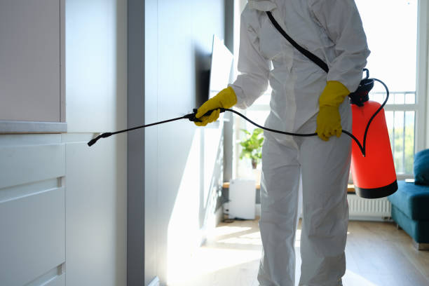Best Attic Mold Removal  in Azle, TX