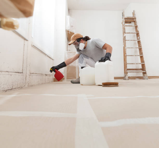 Asbestos and Lead Testing During Mold Inspection in Azle, TX